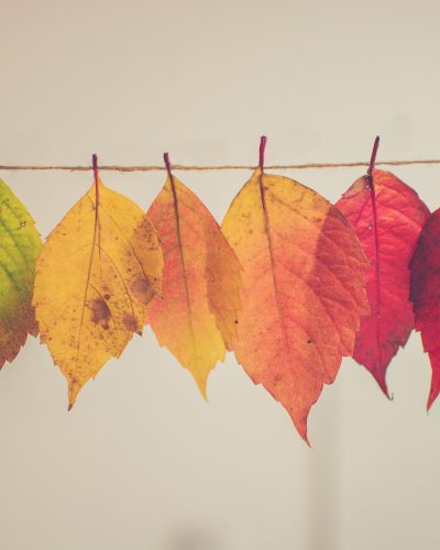 On Healing & Change: Fall 2020