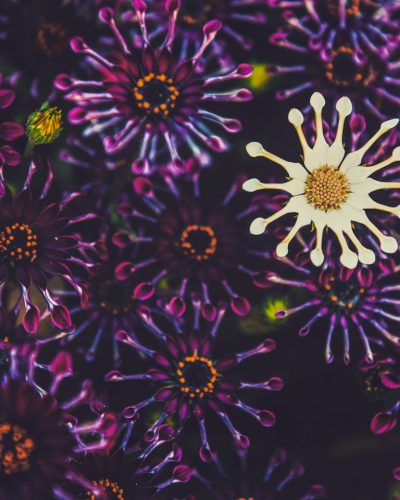 Confusing Unity with Uniformity: Spring 2021