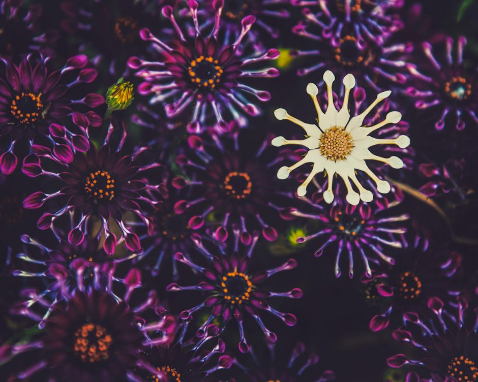 Confusing Unity with Uniformity: Spring 2021