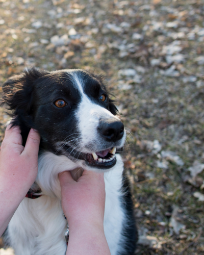 Awe Inspiring Mystery: Fall 2021