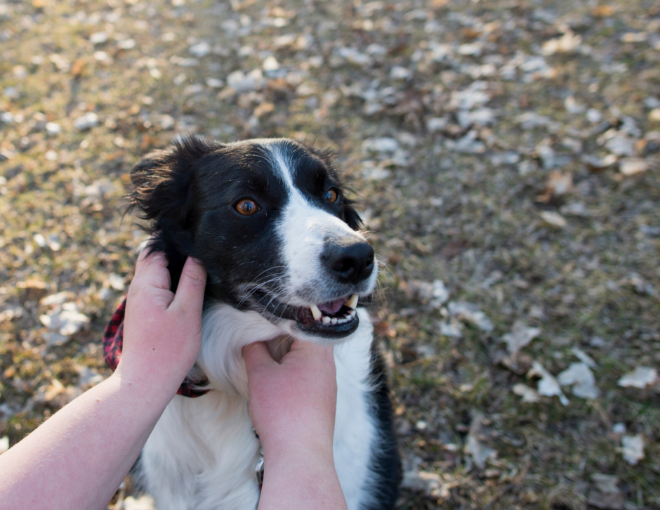 Awe Inspiring Mystery: Fall 2021