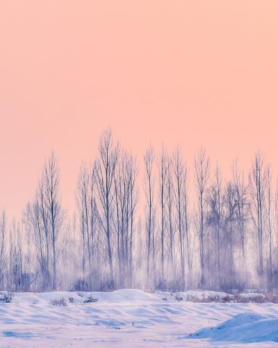 Starved for Stillness: Winter 2022