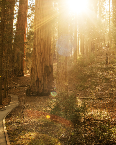 Experience Changes Us: Fall 2023