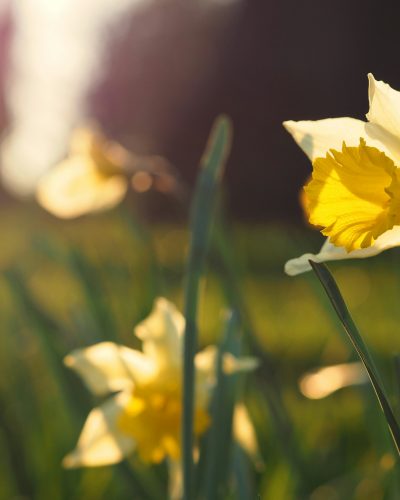 God Bless You: Spring 2024